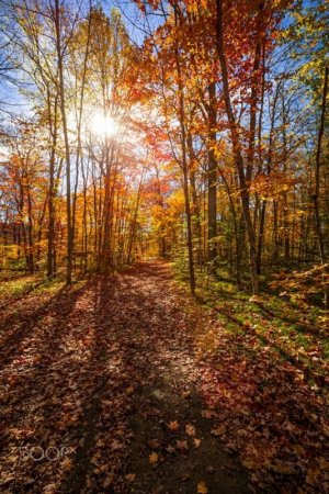 fall.jpg