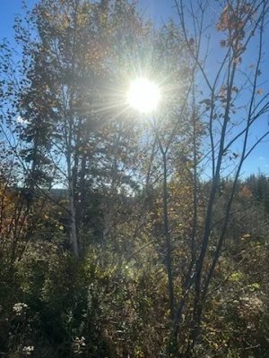IMG_4183.jpeg