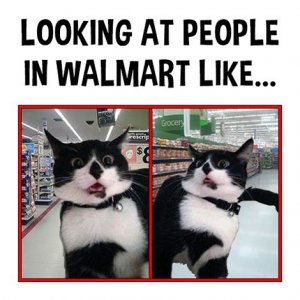2c90ef512f837d75dc4ae82eeeb1a489.jpg