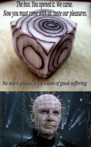 h2.jpeg