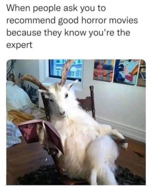 h7.jpeg
