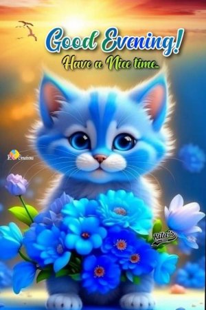 FB_IMG_1698537688112.jpg