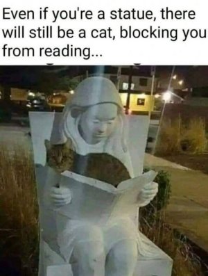 396701412_10232495041506694_929756162619653619_n.jpg