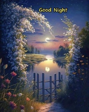 FB_IMG_1698537819352.jpg