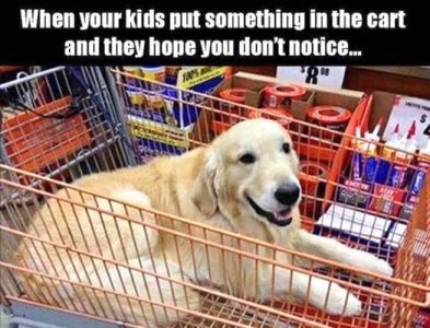 IMG_5162.jpeg