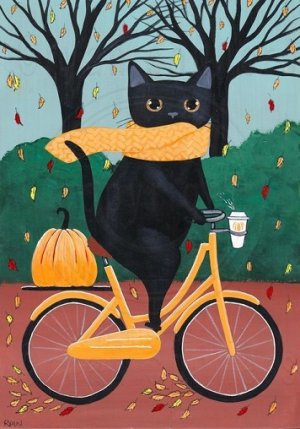 black cat on bike.jpg