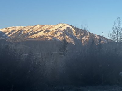 IMG_2926.jpg