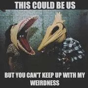 IMG_1989.jpeg
