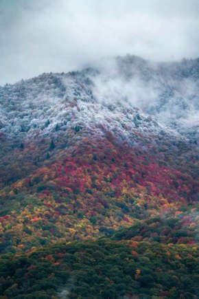 fall.jpg