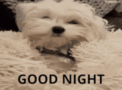 IMG_5194.gif
