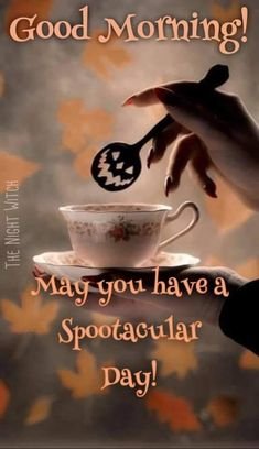 spootacular.jpg