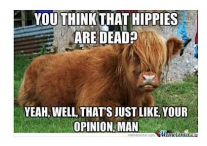 Hippies.jpg