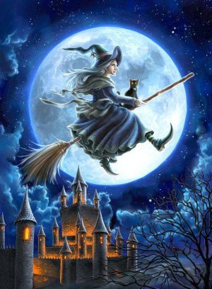 witch on broom.jpg