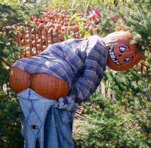 mooning scarecrow.jpg