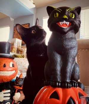 black cat & figurine.jpg