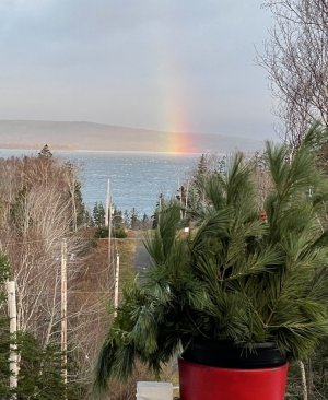 IMG_4850.jpeg