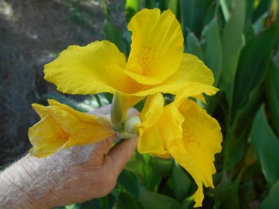 DSCN0416.JPG