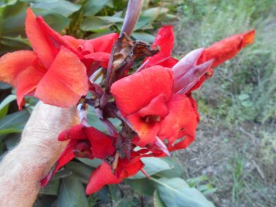 DSCN0414.JPG