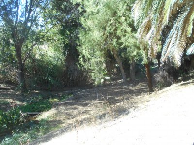 DSCN0397.JPG