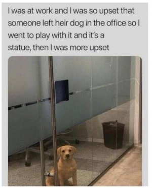 fiy.JPG