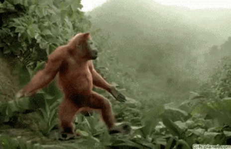 nhnhdgnf.gif