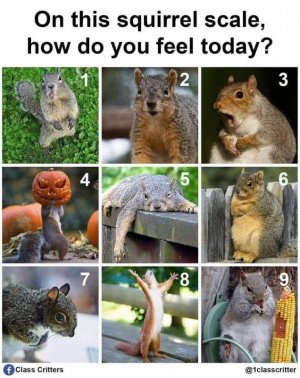 FB_IMG_1698355887893.jpg