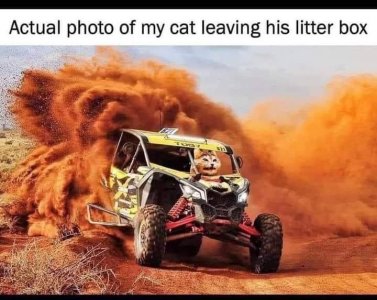 IMG_5217.jpeg