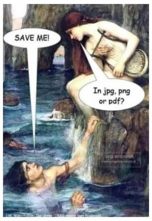 ip.JPG
