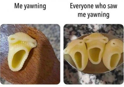 yawning.jpg