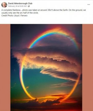 circlerainbow.jpg