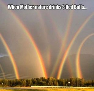 red bulls.jpg