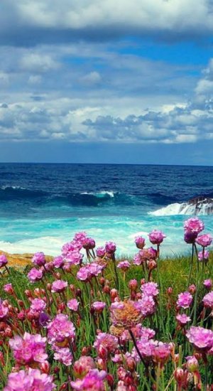 peace sea 91.jpg