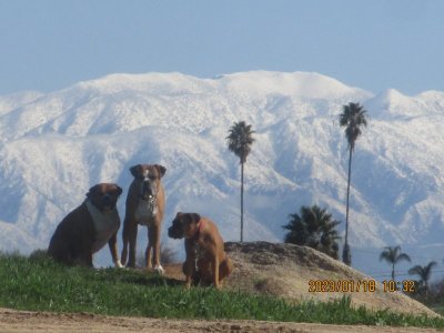IMG_5647.JPG