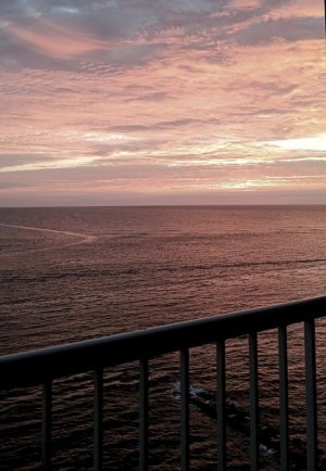 20231029_071505.jpg