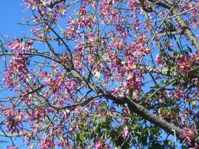 DSCN0441.JPG