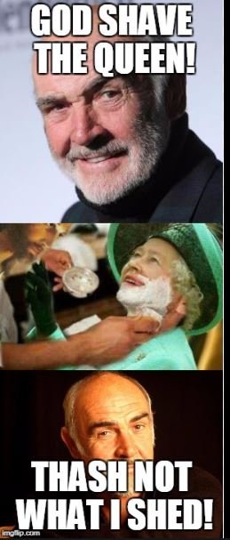 sc5.JPG