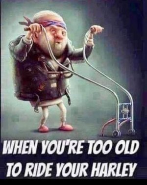 53d3bc9d7b446f06fef481e94d51bdca.jpg