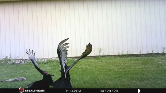 04-29-23 1342 hrs.JPG 04-29-23 1342 hrs.JPG