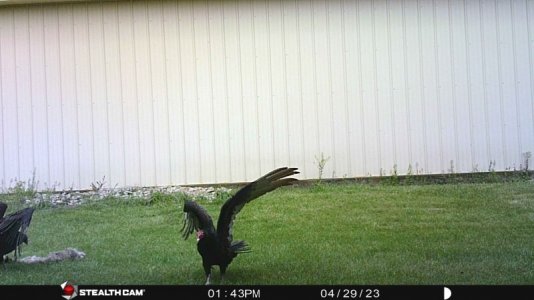 04-29-23 1343 hrs.JPG 04-29-23 1343 hrs.JPG