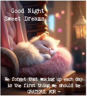 FB_IMG_1674503256263.jpg