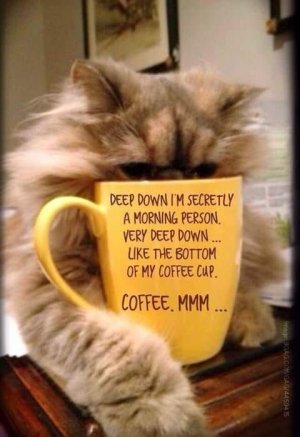 coffee2.jpg