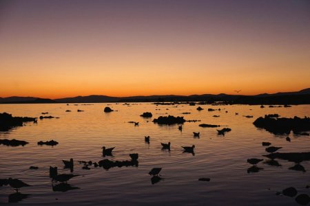 SX00123u.jpg SX00123u.jpg