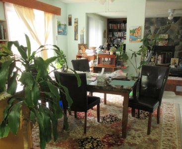 Kitchen2023-2.JPG