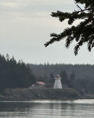 IMG_2987.jpeg