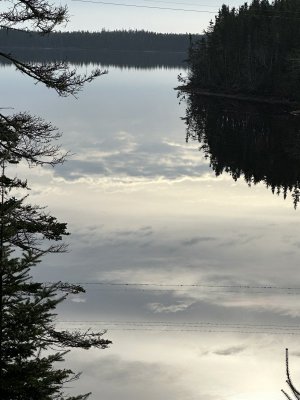 IMG_2967.jpeg