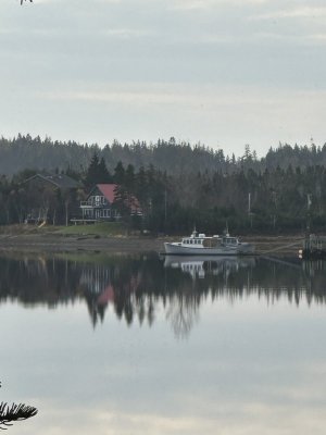IMG_2969.jpeg