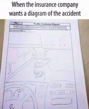 accident diagram.jpg