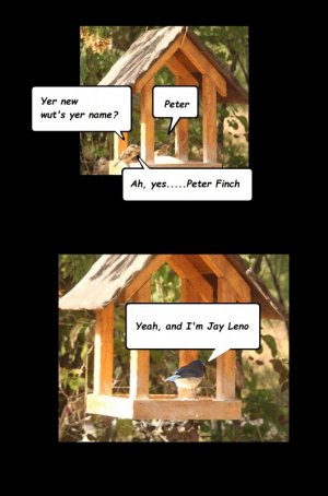 peter.jpg