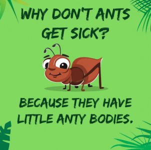 ants.jpg