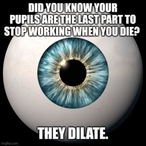 eye.jpg